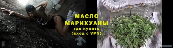 индика Волосово