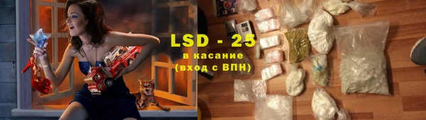 индика Волосово