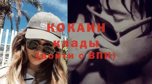 индика Волосово