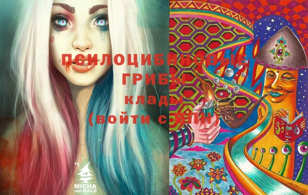индика Волосово
