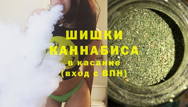индика Волосово