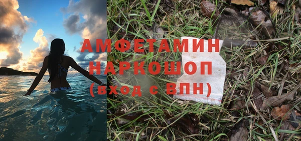 индика Волосово