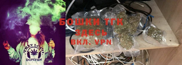 индика Волосово
