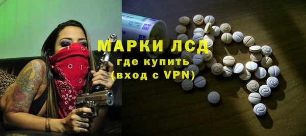 индика Волосово